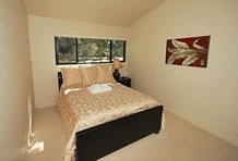RedAwning Ala Wai Boulevard Apartment 1
